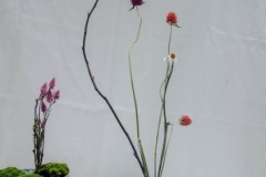 Ahlena-Sultana-Ahlena-S-M-2