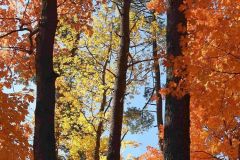 Schlarb_4_Fall-Colors-at-Mud-Lake-Anita-Schlarb