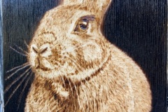 BChristie_4-RT2026-Bob-Christie