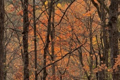 Cheryl-Beillard_05-Toward-the-Light-M-B