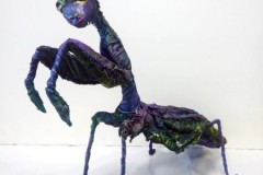 Jane-Christie_Insect