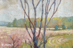 J_Ajersch_RSTS26-3.1-Jennifer-Ajersch