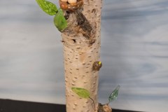 Murkay-Creations_002-B-Sandra-Allen