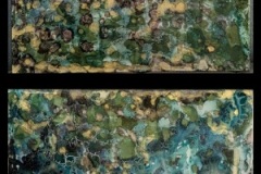 Water, Land & Sky 12x12 (2) - 1