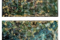 Water, Land & Sky 12x12 (2) - 1