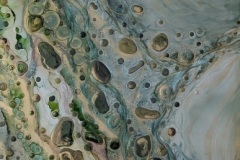 Pamela-Stewart_What-the-Water-Gave-Me_Mixed-Media_20x30_900-Pamela-Stewart