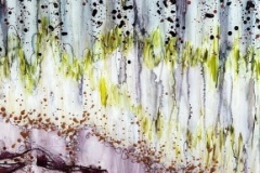 Pamela_Stewart_Trickle-Down-Effect_Mixed-Media_20x40_1200-Pamela-Stewart