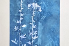 WCLEMENT04-Wendy